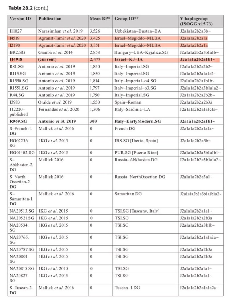 الصميدع tweet media