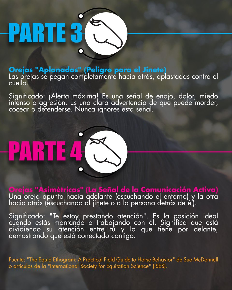 Fedequinas tweet media