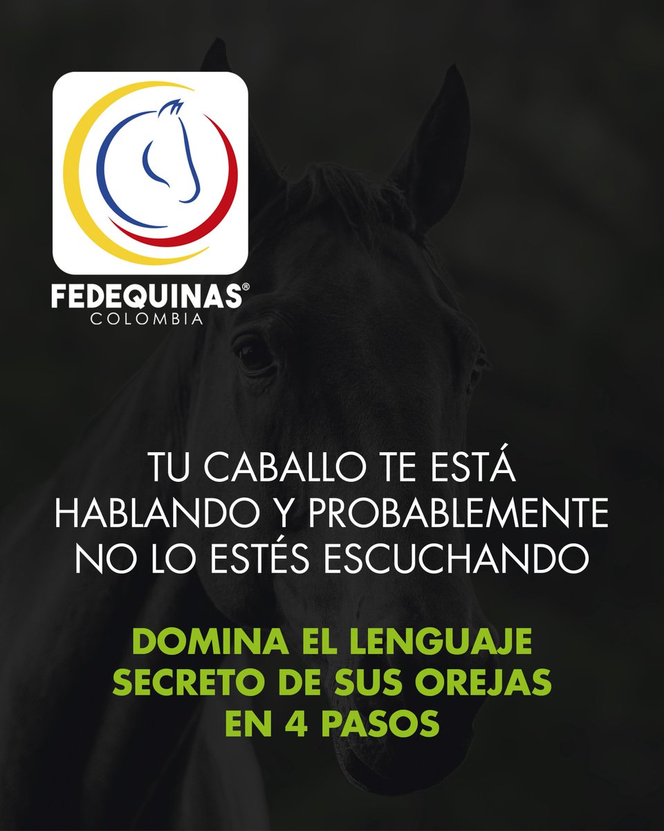 Fedequinas tweet media