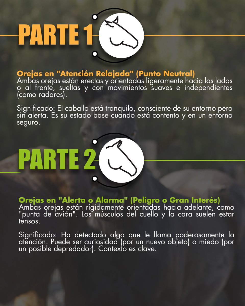 Fedequinas tweet media