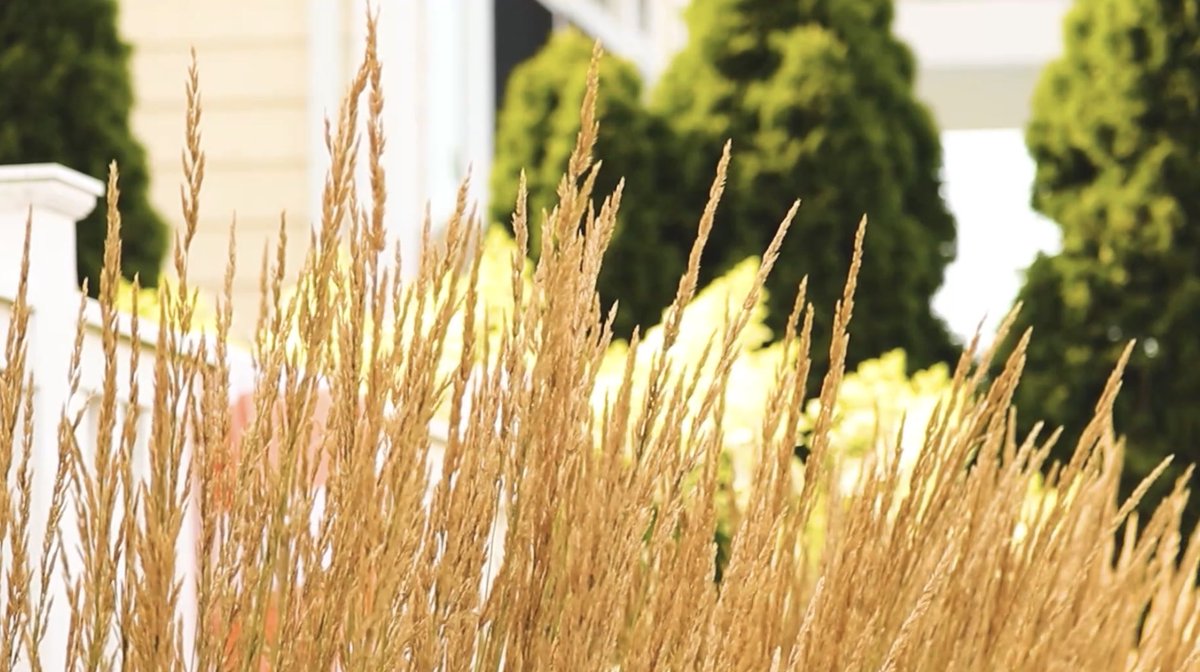 Filming a natural water of baptism was pretty special