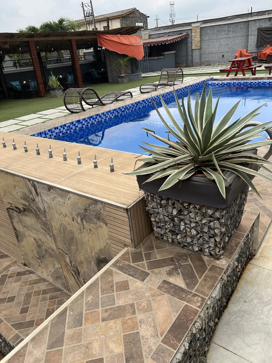 Zm ❤️ 
Watching the Zcash chart from here 
wyd