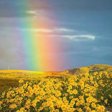 TheEdrees's tweet image. my day when i’m not thinkin bout some bullshit