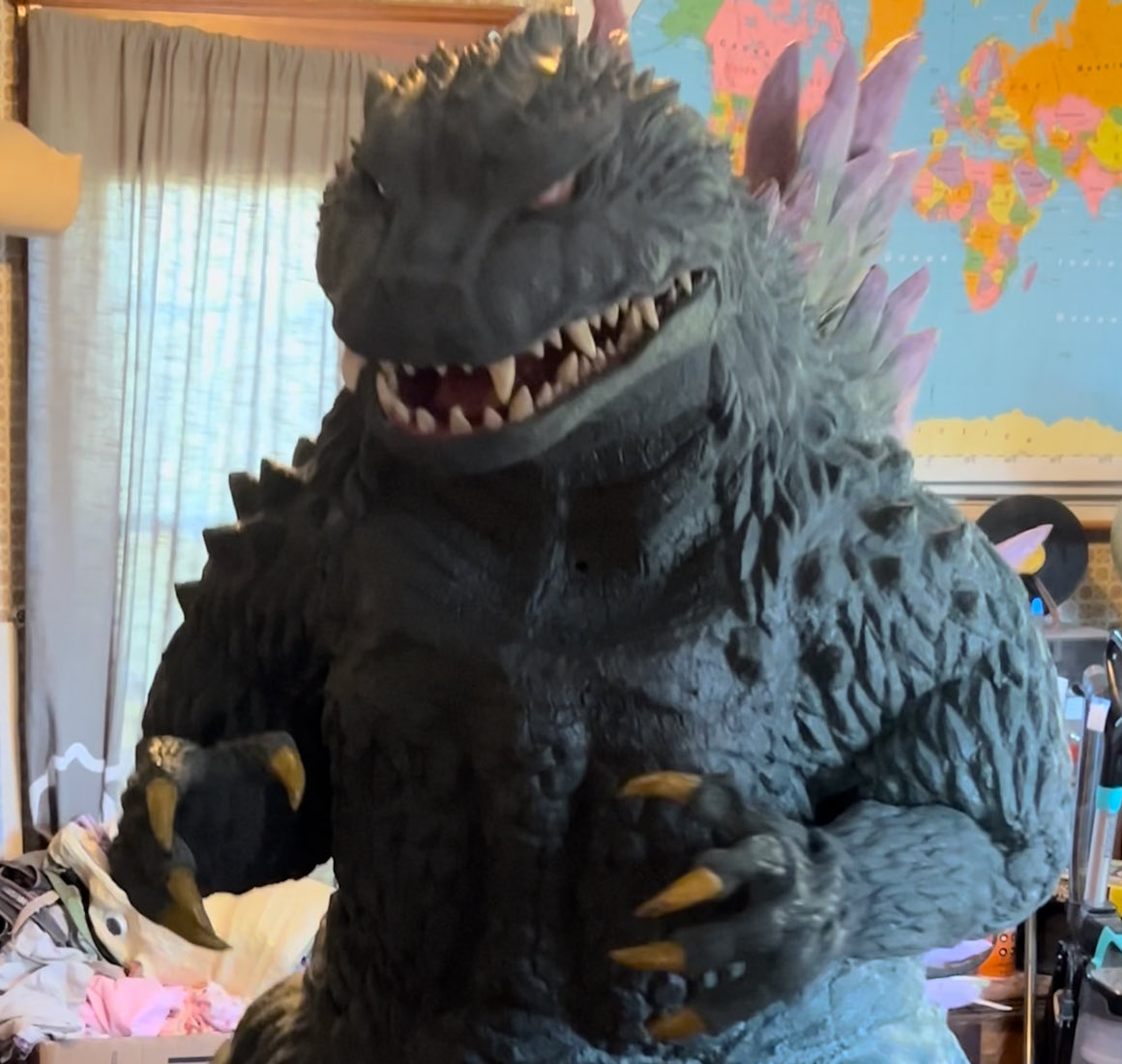 Just entered Goji into his first competition!