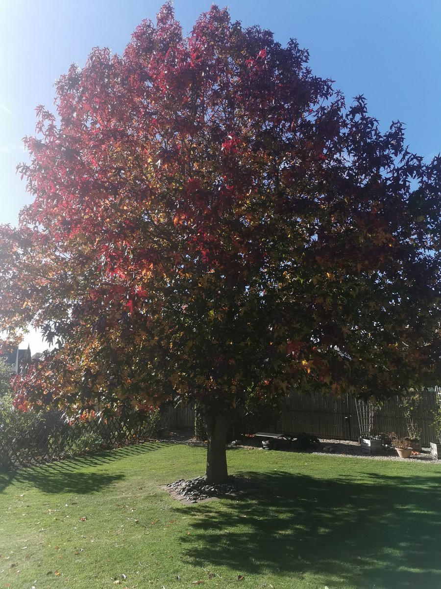 CarlaBZH's tweet image. #Balade sympathique, sur le port du Légué, à #SaintBrieuc, avec un couple d'amis. 😊 ##CotesdArmor #Bretagne #MagnifiqueBretagne #France #MagnifiqueFrance
