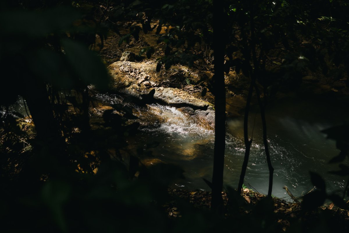 SONO 📸 tweet media