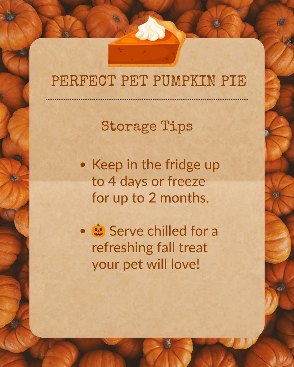 It's National Pumpkin Day and we've got a delicious treat for you to make for your furry friends. We promise if you make this recipe you'll be the most PUP-ULAR human in the house! Check  out how to make the puuuurrrr-fect pet pumpkin pie!