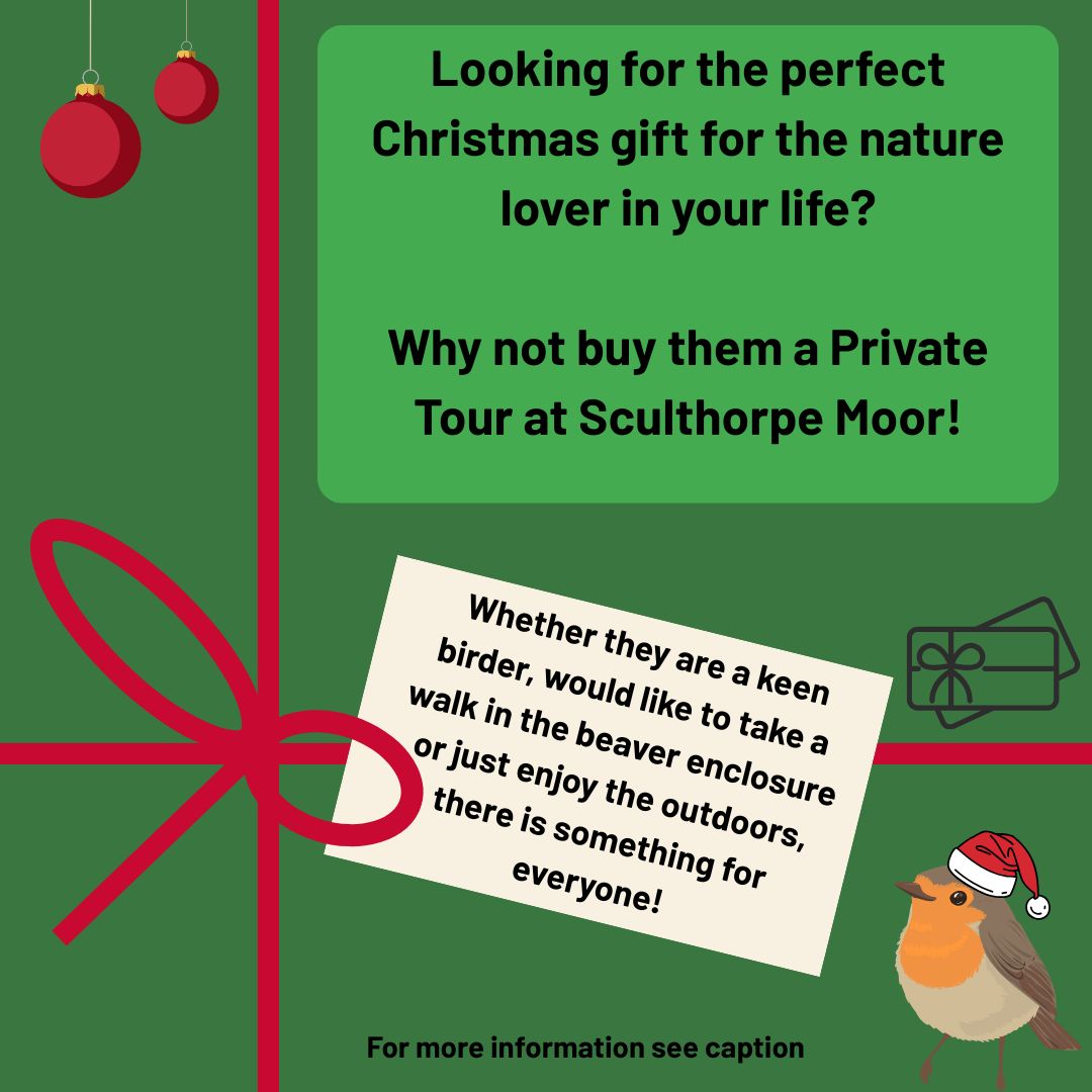 🎄 Got a nature lover in your life? Gift them a private tour voucher! They can choose their date and enjoy an exclusive tour by one of our Rangers. Tours are £25 per person (min. spend £100). For details, visit our website or call 01328856788! 🌿