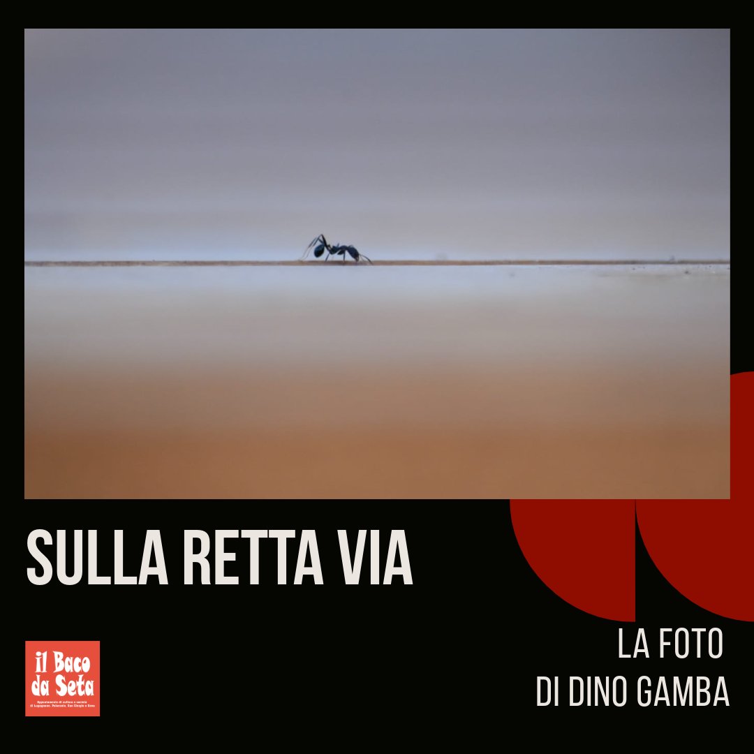 La foto della settimana, di Dino Gamba