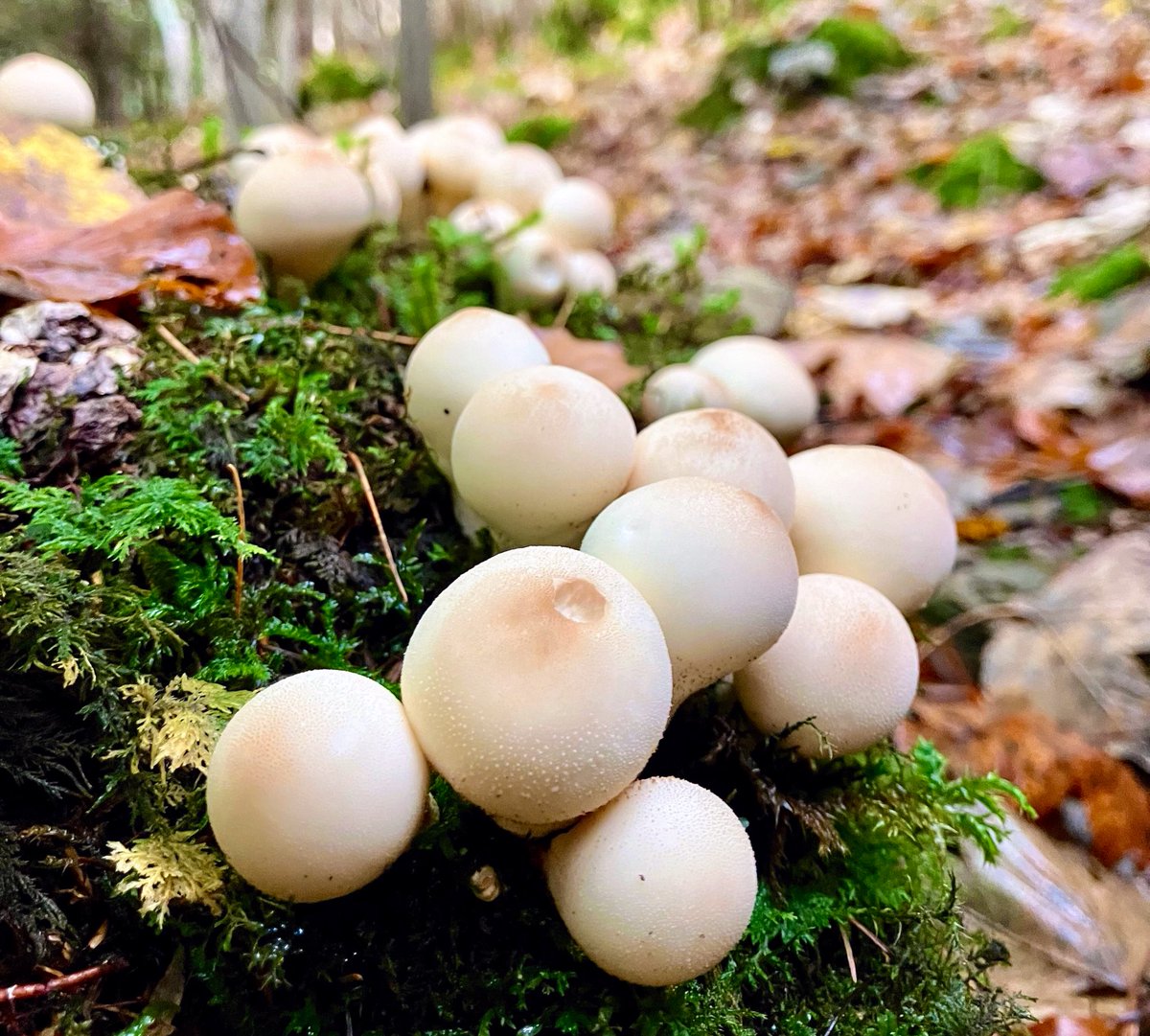 Cloudymamma tweet media