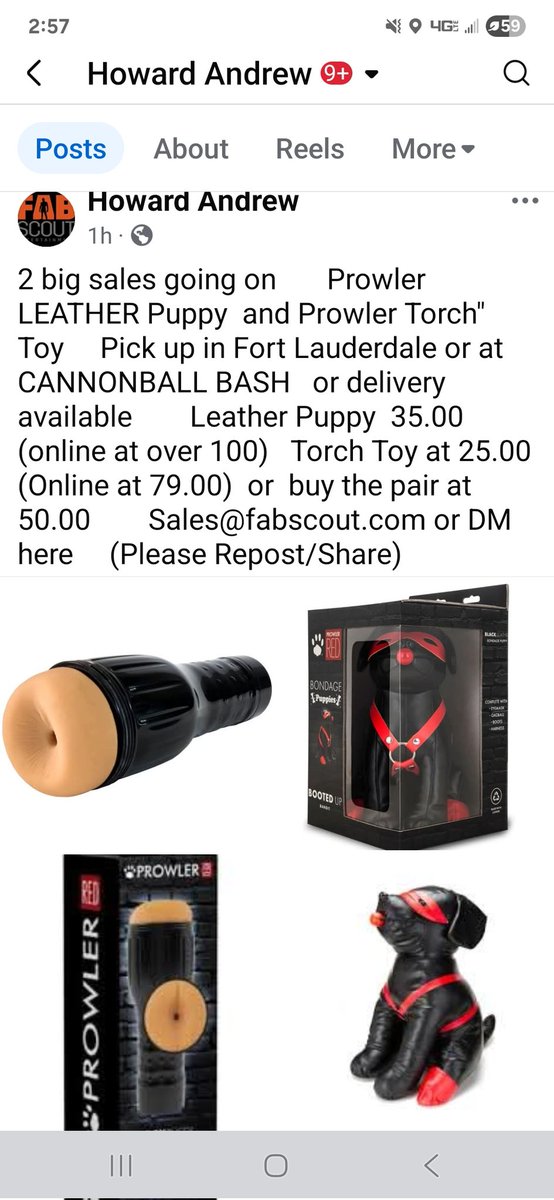 FabScout tweet media