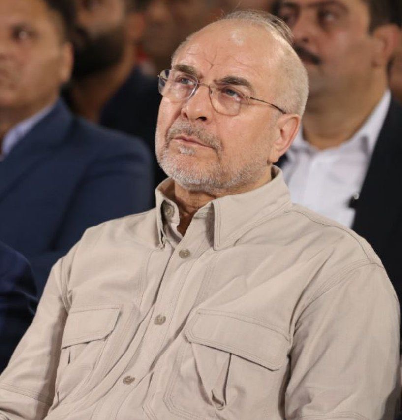 ضربه گیر نظام :