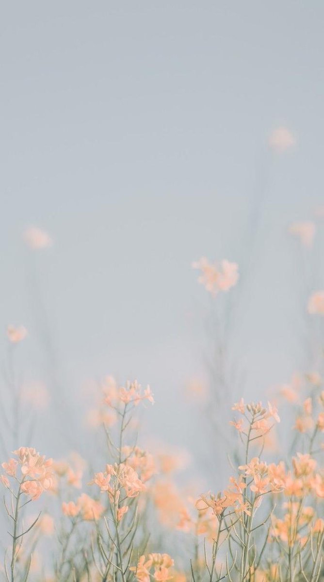 1xHalitx1's tweet image. 水曜日深夜のメモ：曇り／元気。
掃除する→写真を撮る。少しずつ前へ。