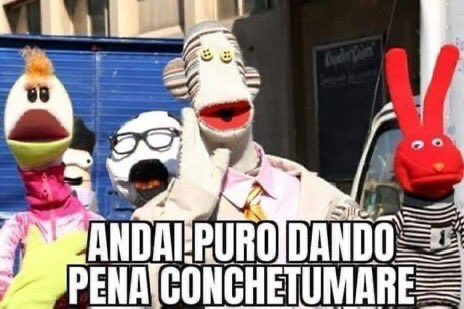 Dionisio Insistens tweet media