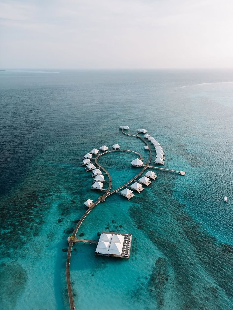 seasidedreammv's tweet image. This is the kind of solitude that feels like magic. 🏜️🥂

Diamonds Thudufushi, Maldives 📍

#DesertLuxury #ArchitecturalDigest #UniqueResort #Oasis #LuxuryEscape #MiddleEastLuxury #TravelDeeper #PoolWithAView #DesignHotel #RemoteLuxury #Stargazing #EpicViews #SandsOfTime