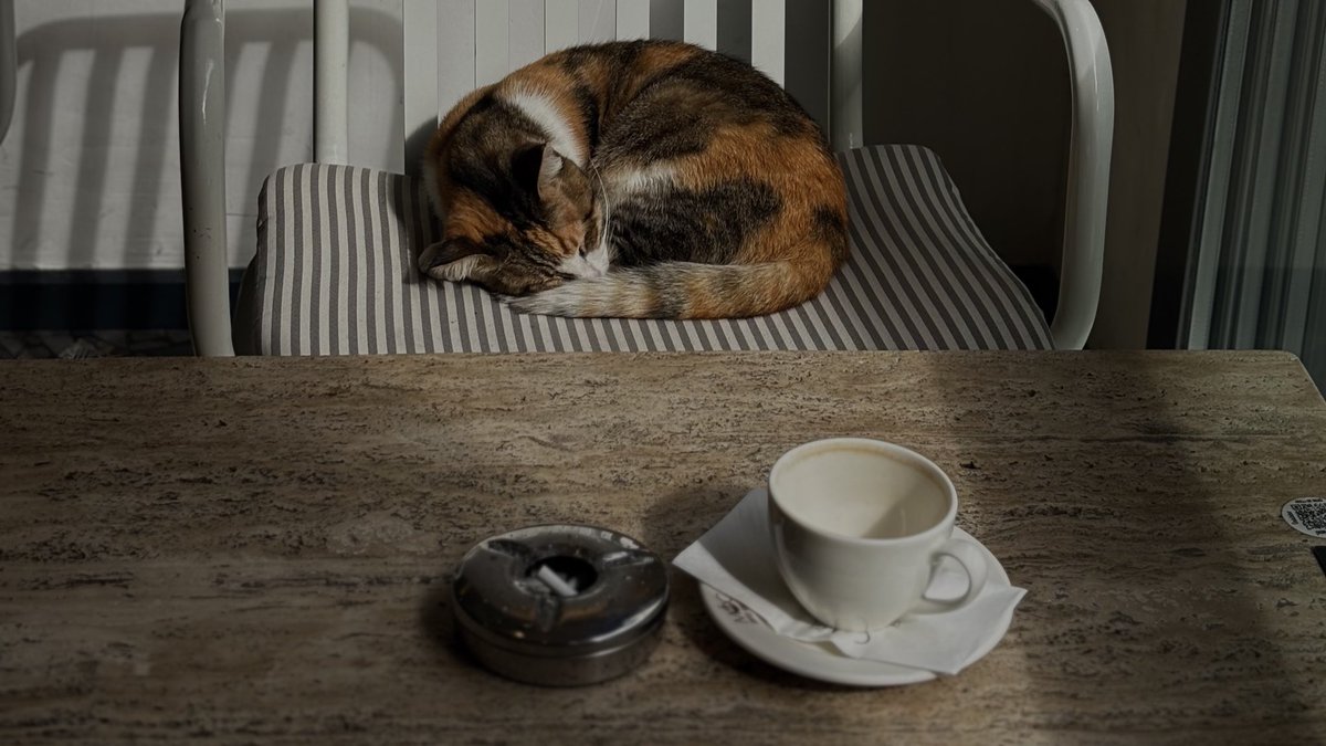 mevsime yakışır bir hüzün ile geçen günler 🍂