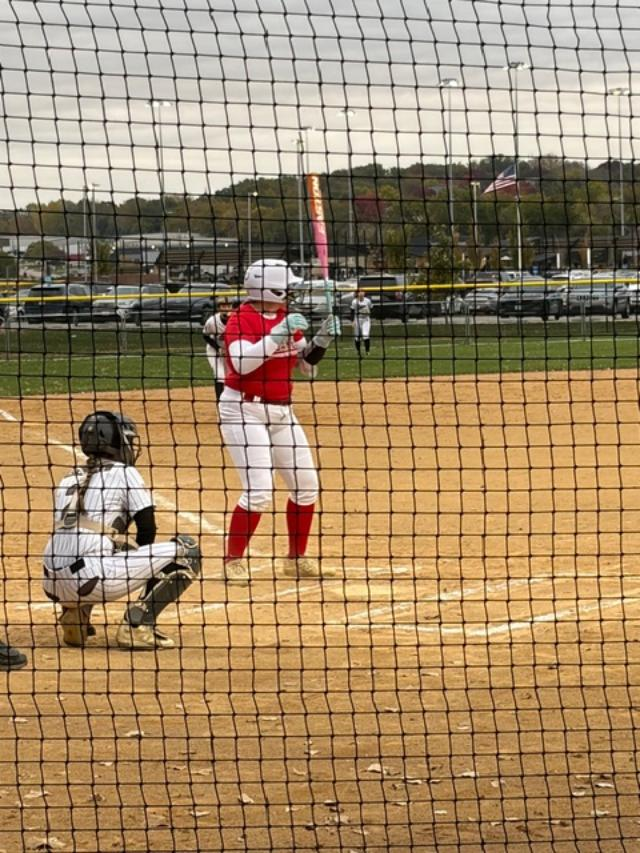 Jules Braun tweet media