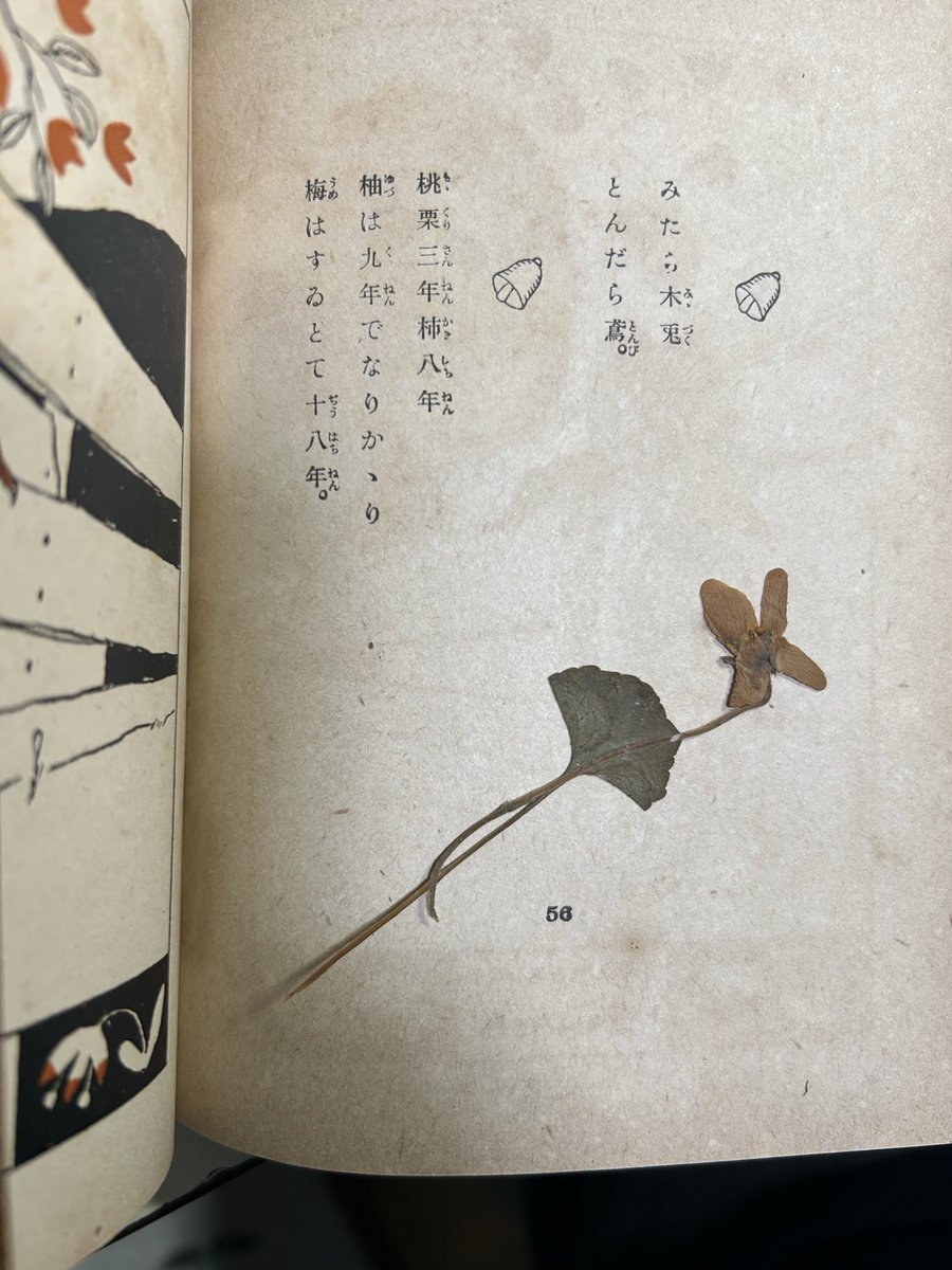 チンタロウ (@jtuJbHLLlPxwSrc) / Posts / X