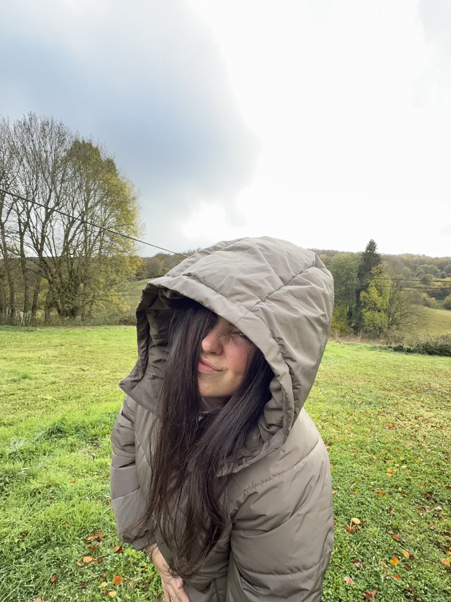 otoño en el norte, otoño en casa. 🏡🍂🐮