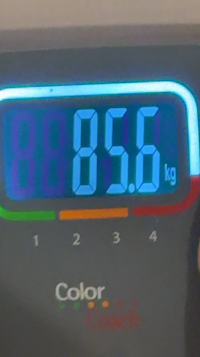 lydia 🌺 tweet media