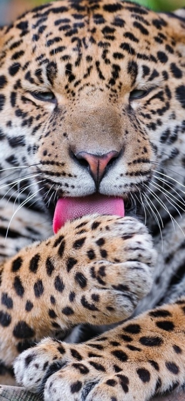 opticoded's tweet image. Every moment you choose to try again, you’re building the life you want