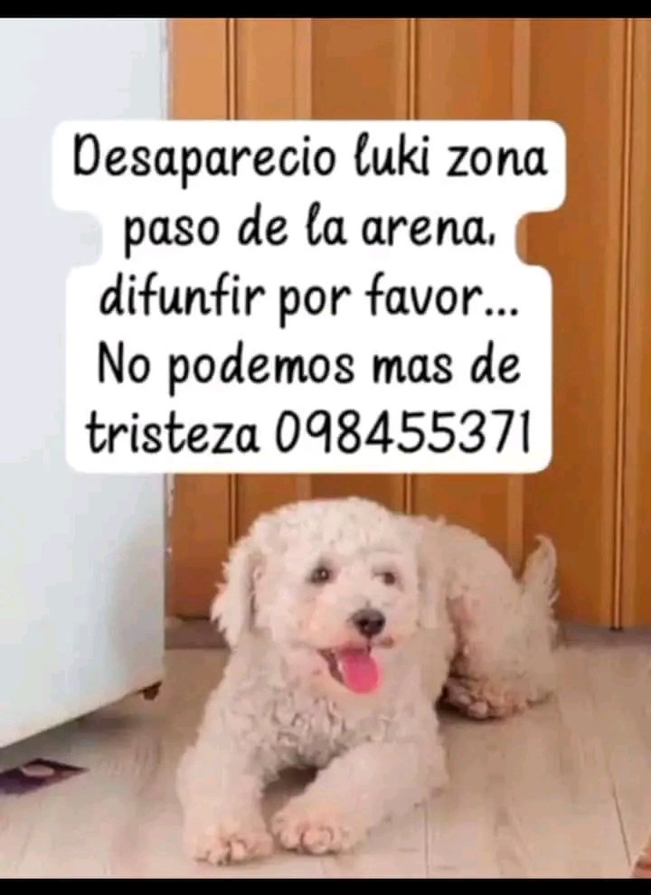 MatuNogueira's tweet image. Se busca !