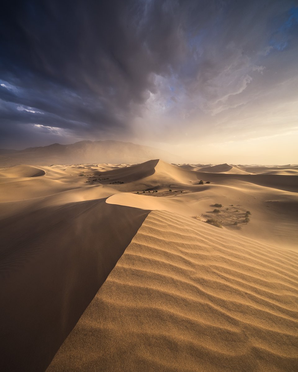 Michael Shainblum tweet media