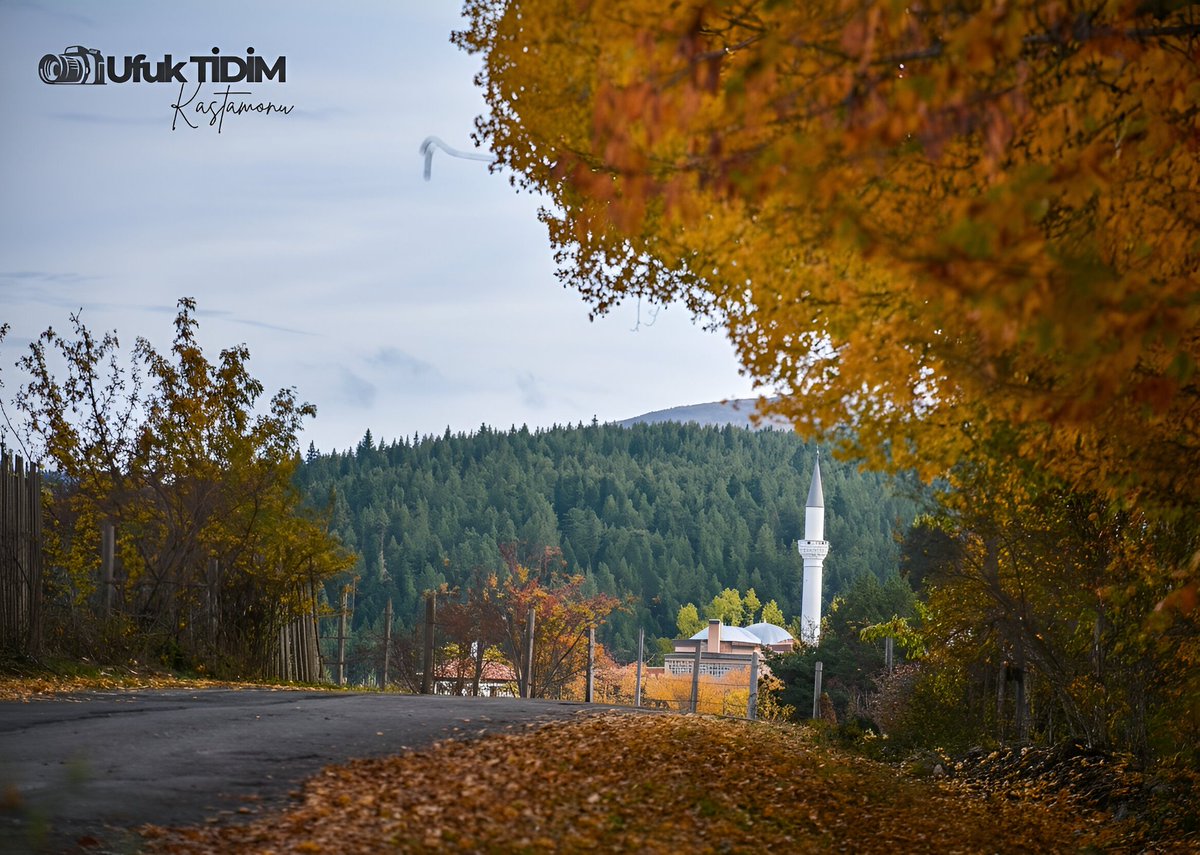 TidimUfuk's tweet photo. Ilgaz Dağları’nın eteklerinde, sonbaharın renk cümbüşünü Benli Sultan Köyü’nde resmetmenin huzuru… 🍂🎨 https://t.co/TK5spwZJlu