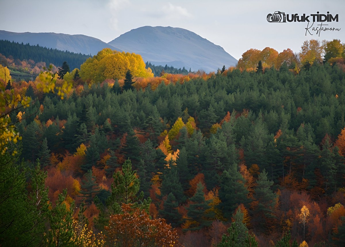 TidimUfuk's tweet photo. Ilgaz Dağları’nın eteklerinde, sonbaharın renk cümbüşünü Benli Sultan Köyü’nde resmetmenin huzuru… 🍂🎨 https://t.co/TK5spwZJlu