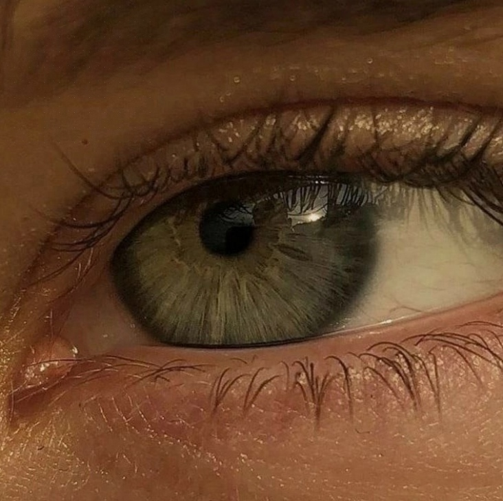 opticoded's tweet image. A clear vision doesn't require a perfect plan, only courage