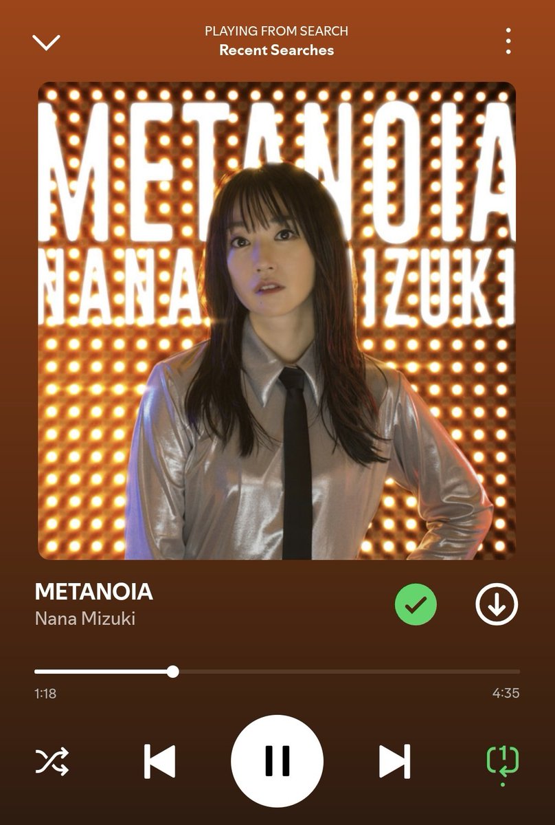 TEAM MIZUKI パーカー 水樹奈々 黒 mizuki nana nm7 NANA MIZUKI LIVE