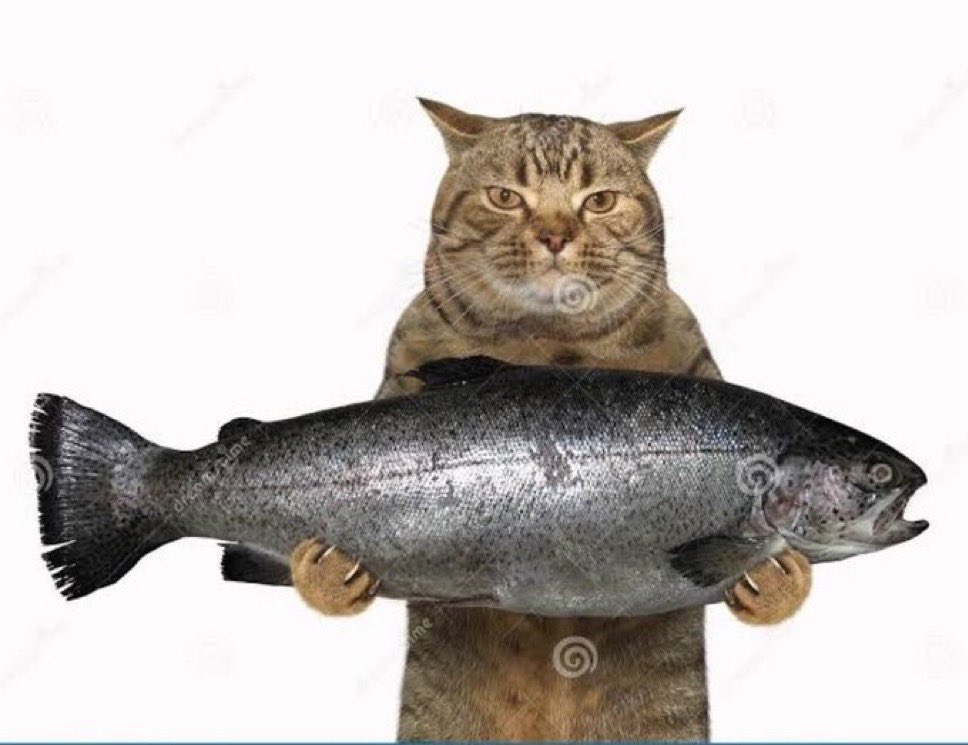 Major (@majorsaidit) on Twitter photo 