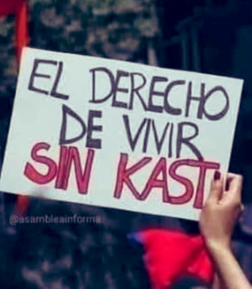 Para que tengamos un país en PAZ dile No al Nazi evasor de impuestos!!!! #JaraEnPrimeraVuelta #JaraPresidenta2026