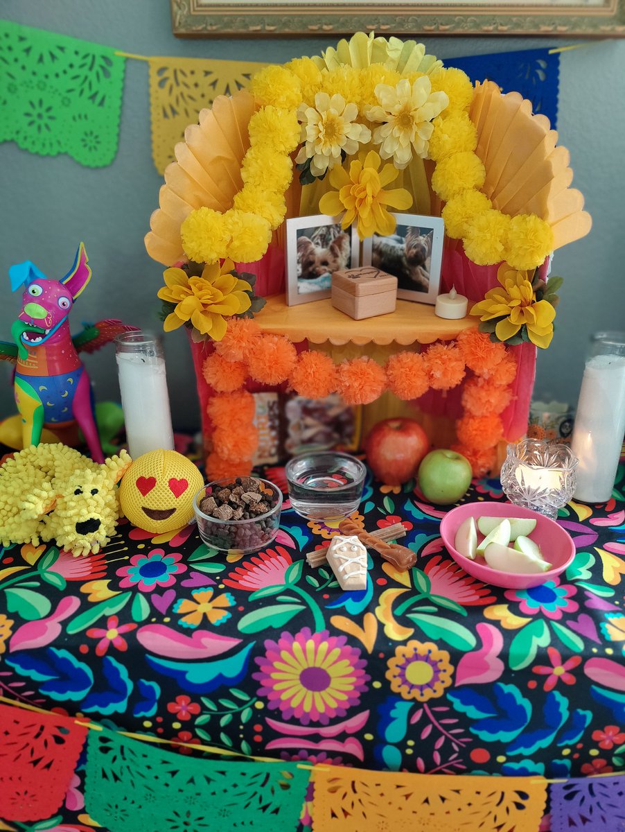 ITSaMe_Alex tweet media