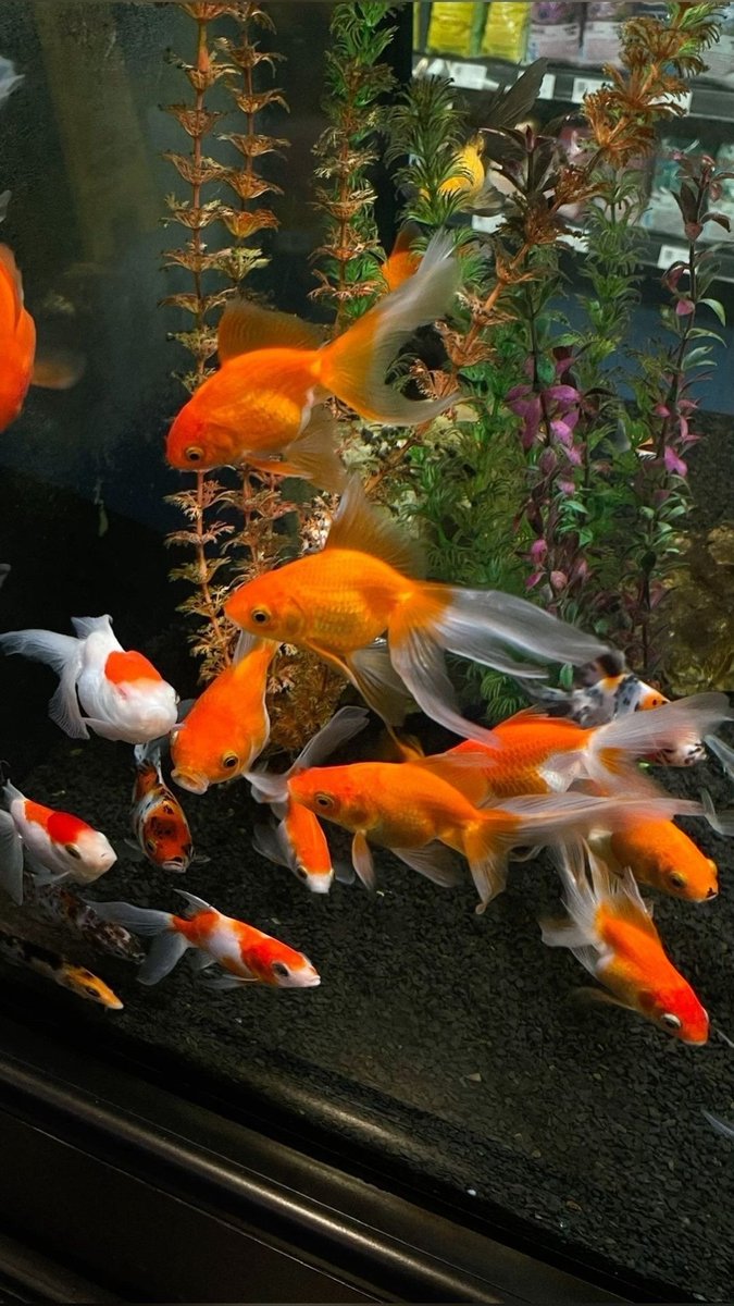 opticoded's tweet image. Patience is trusting the process