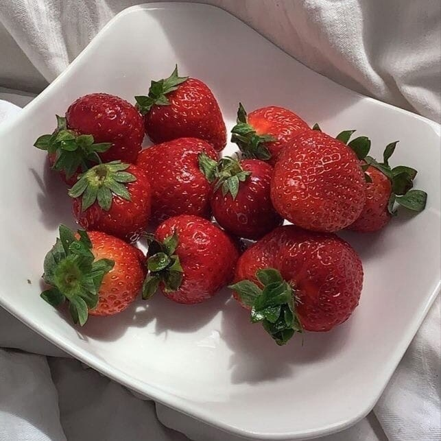 opticoded's tweet image. Patience is trusting the process