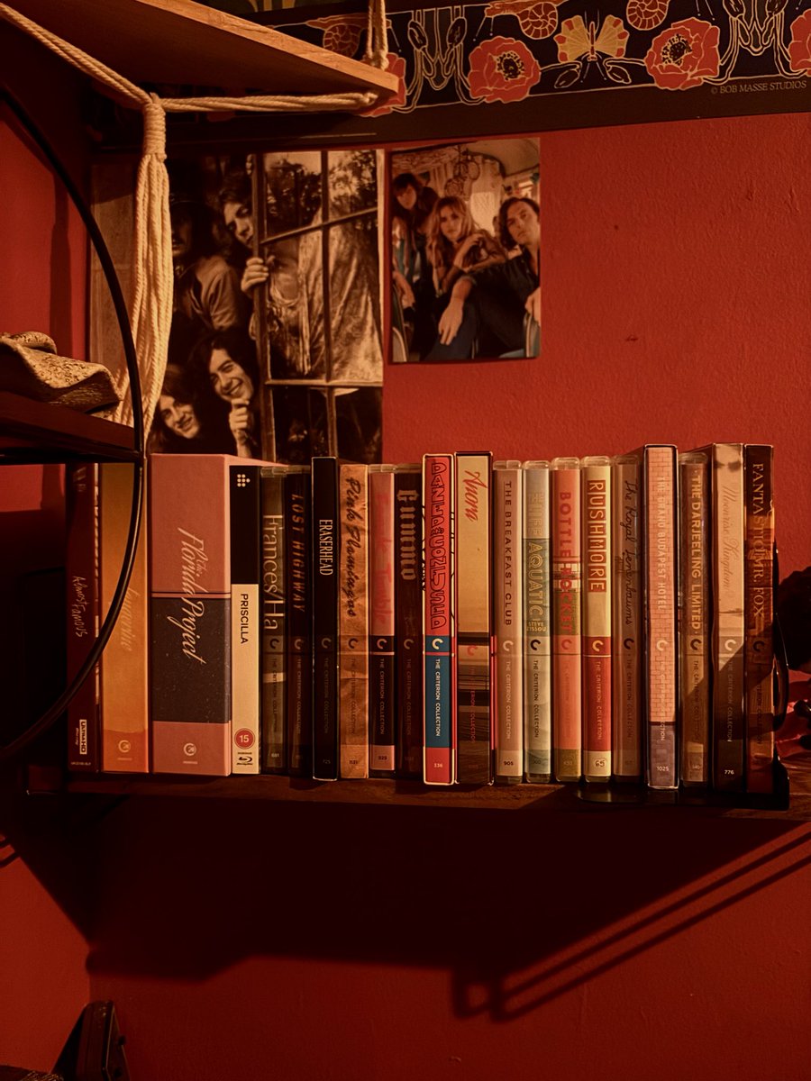 500daysofjuno's tweet image. my criterion &amp;amp; other collector dvd collection&amp;lt;3