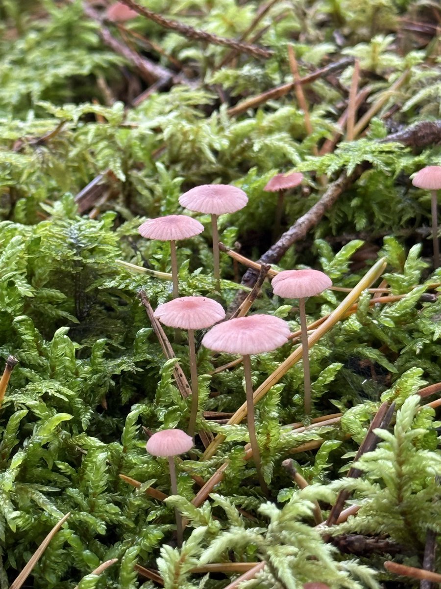 Enklast vore ju om folk slutade vara så dumma huvudet.