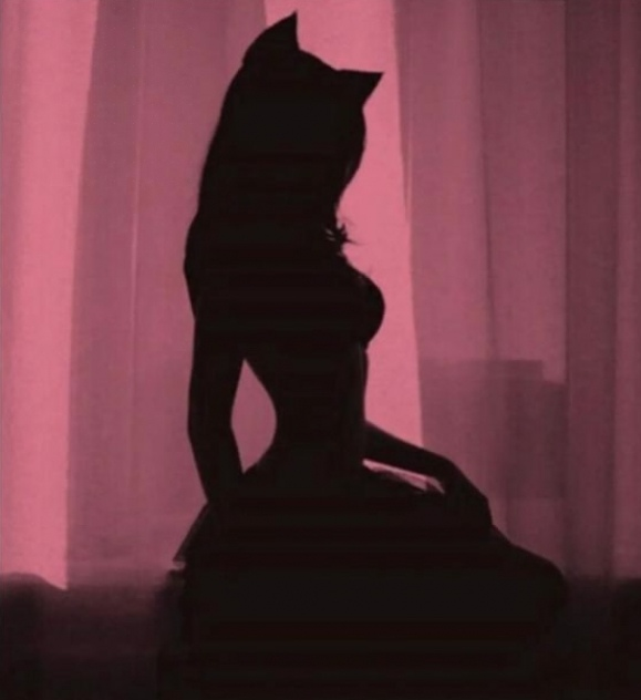 opticoded's tweet image. Your dreams don’t have deadlines, you do