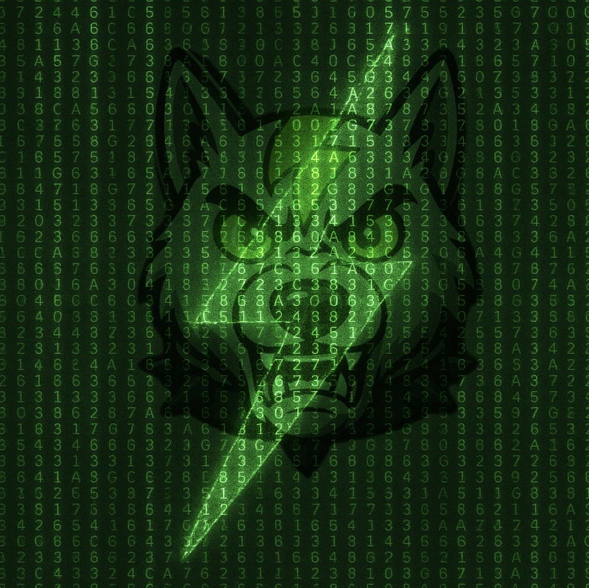 It’s About to 𝓥olt ⚡︎