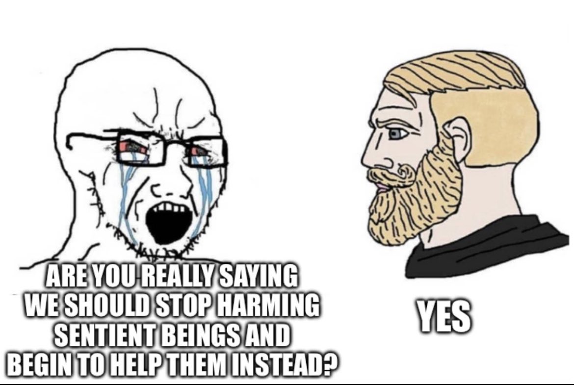 DanKellyFreedom's tweet image. Our fellow animals are the last frontier of justice. 

They are as innocent, sentient, and have as much will to live as children.

Humans thrive as vegans.

It’s about basic justice.

Be just. Be vegan.