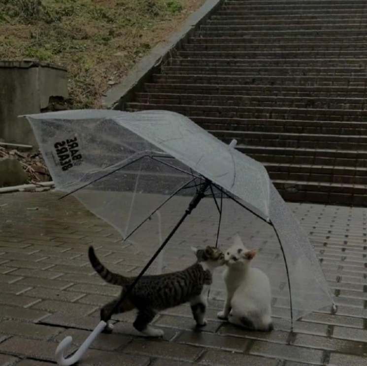 opticoded's tweet image. Mistakes don’t define you