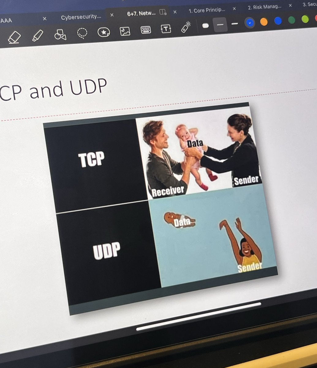 unique bird🪿 tweet media