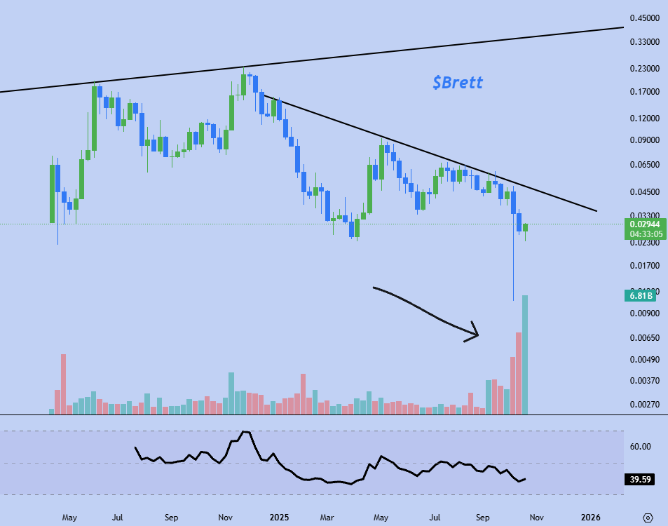 FlipperG82's tweet image. For the past few weeks $Brett has had a colossal volume on ByBit

People have started to realize how high Brett can go?

People got news about base airdrop and start buying the #1 coin on base chain?

Have people woken up???

$Brett is up to 10 billion