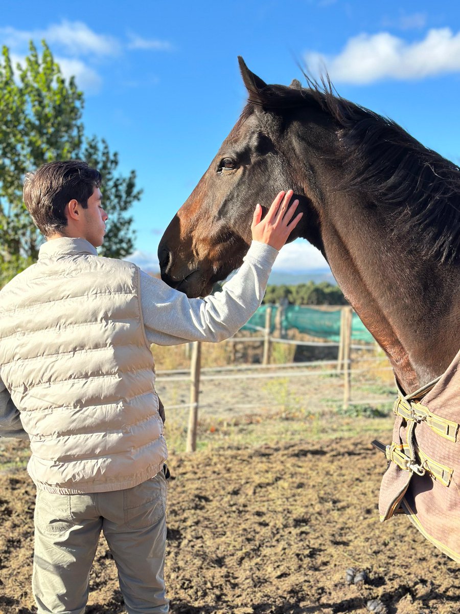 Manuel Cid tweet media