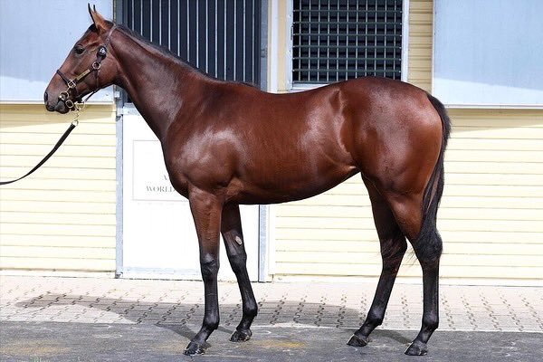 Gemma Tutty Racing tweet media