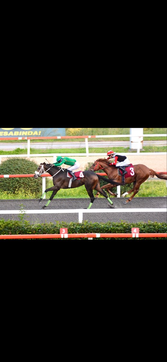 Ayağına Taş Deymesin PYTHAGOREAN THEORY🧿