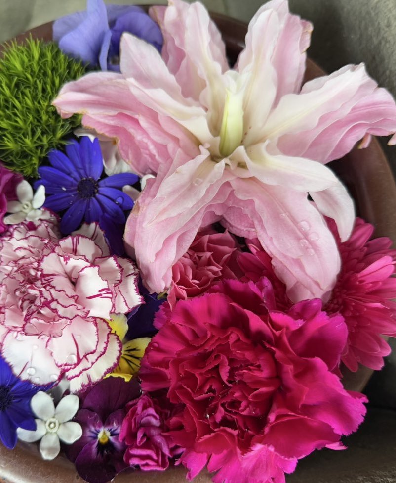 ☀プー☀ プーさん ☀プー☀ ☀プー☀ プーさん ZX Fury 名作を融合した