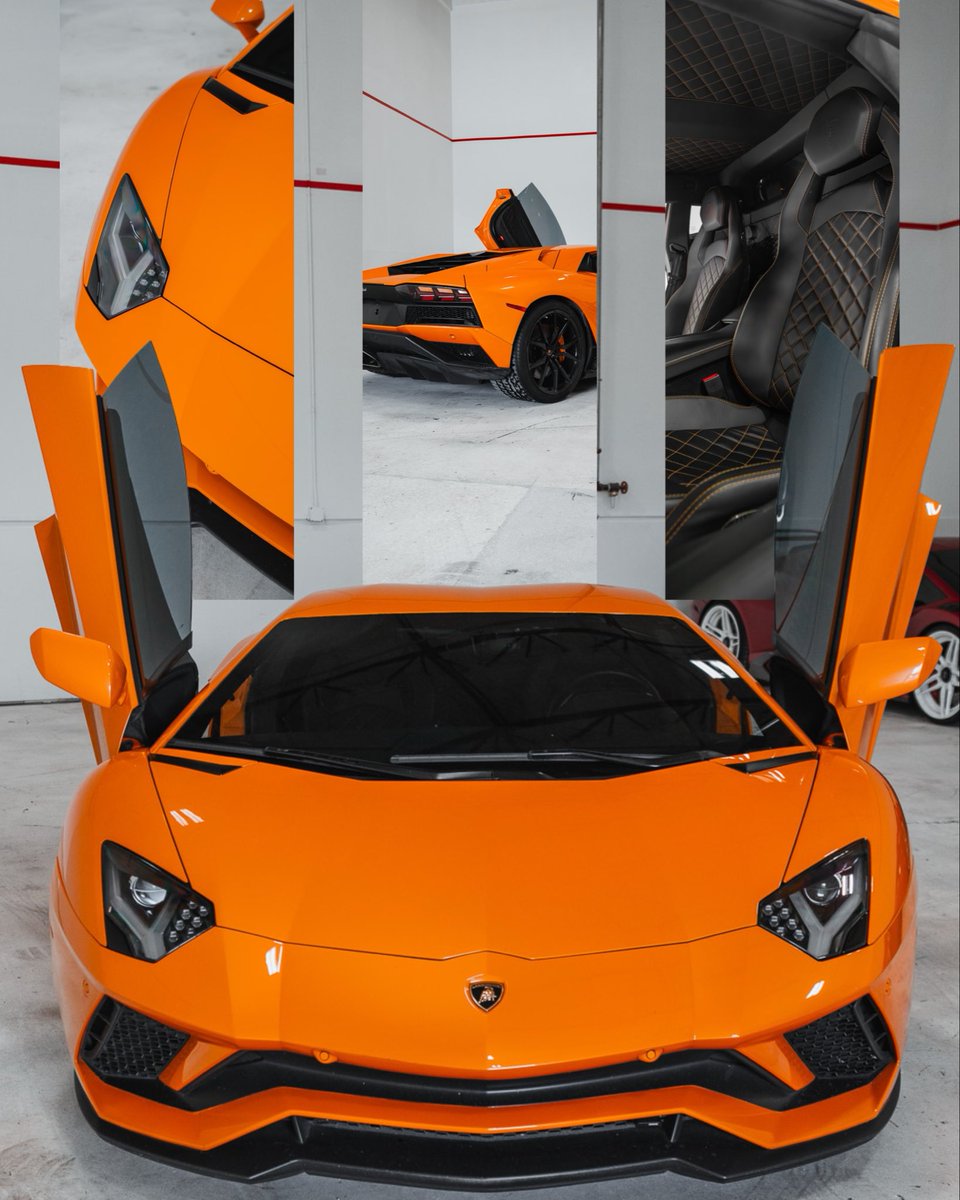 yelotree's tweet image. Friendly reminder that I am the best plug in SoFlo for anything exotic, including wraps & performance upgrades
Follow @legacy on instagram and I will give away some solana 🙏