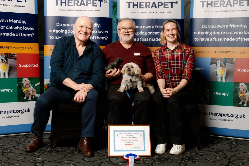 The WINNER of 𝐓𝐇𝐄𝐑𝐀𝐏𝐄𝐓 𝐎𝐅 𝐓𝐇𝐄 𝐘𝐄𝐀𝐑 𝐅𝐎𝐑 𝟐𝟎𝟐𝟓 is 𝐁𝐨𝐧𝐧𝐢𝐞, a 𝐌𝐚𝐥𝐬𝐡𝐢 owned by 𝐃𝐨𝐮𝐠𝐢𝐞 &amp; 𝐂𝐥𝐚𝐢𝐫𝐞 𝐌𝐜𝐂𝐨𝐧𝐧𝐞𝐥𝐥 
Picture; Patron Ron Donachie, volunteer Dougie &amp; Therapet®Bonnie and Patron Hannah Miley
<a href="/TherapetC/">@Therapet-CCST</a> <a href="/CanineConcern/">CanineConcernTrust</a>